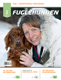 Fuglehunden